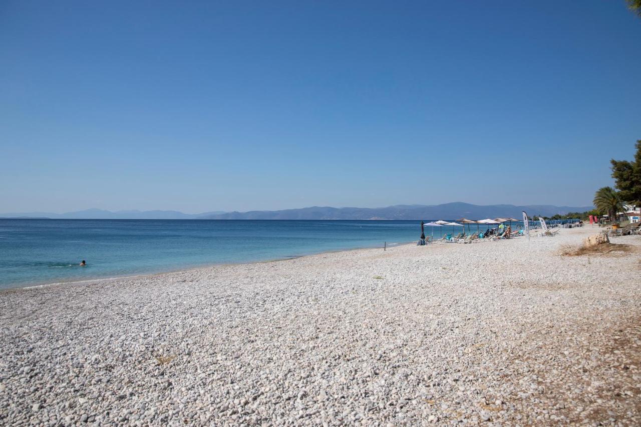 Seaside Haven Kineta Villa Kültér fotó